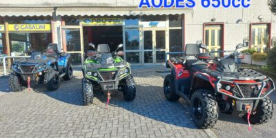AODES PATHCROSS 650